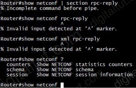 show_netconf_command.jpg