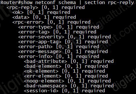 show_netconf_schema_section.jpg