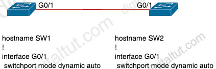 Trunking_DTP.jpg